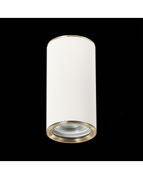 ST111.537.01 Светильник потолочный Белый GU10 1*50W D54xH105 220V Без ламп CHOMUS-foto4