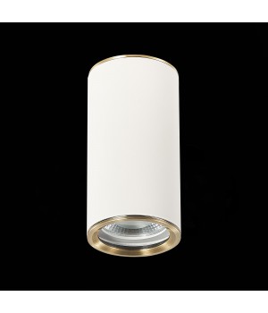 ST111.537.01 Светильник потолочный Белый GU10 1*50W D54xH105 220V Без ламп CHOMUS-foto4