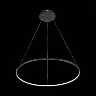 SL904.413.01 Светильник подвесной ST-Luce Черный/Белый LED 1*16W 4000K ERTO-foto5