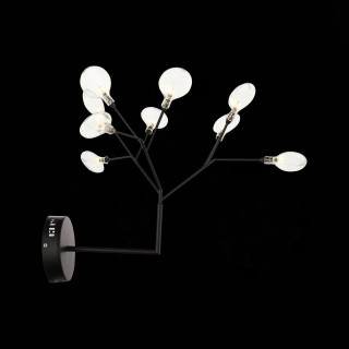 SL411.401.09 Бра ST-Luce Черный/Прозрачный G4 9*1,5W RICCARDO-foto5