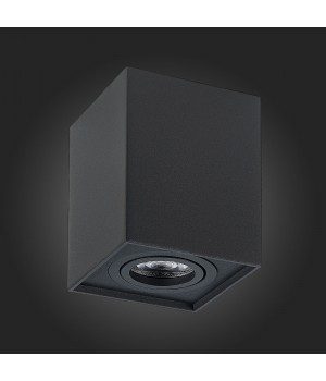 ST109.407.01 Светильник потолочный Мат. черный GU10 1*50W L100xW100xH123 220V Без ламп QUADRUS-foto6