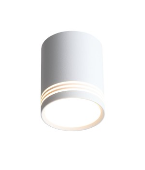 ST101.542.12 Светильник потолочный Белый LED 1*12W 4000K 936Lm Ra>80 120° IP20 D79xH100 170-240V CERIONE-foto2