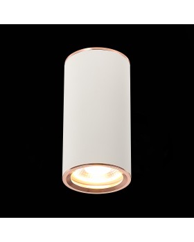 ST111.527.01 Светильник потолочный Белый GU10 1*50W D54xH105 220V Без ламп CHOMUS-foto3