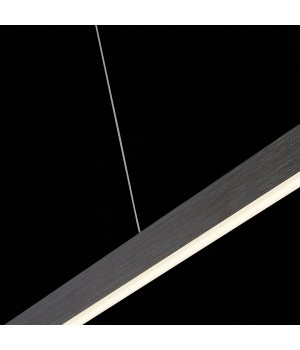 SL567.473.01 Светильник подвесной ST-Luce Черный/Черный LED 1*21W 4000K PERCETTI-foto6