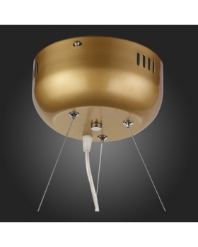 SL411.233.45 Люстра подвесная ST-Luce Золотистый/Прозрачный G4 45*1,5W RICCARDO-foto15