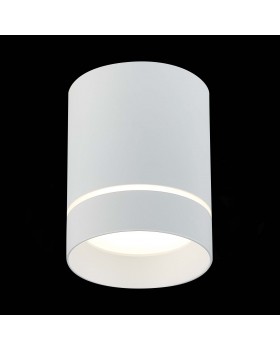 ST115.542.12 Светильник потолочный Белый LED 1*12W 4000K 840Lm Ra>90 120° IP20 D79xH100 170-240V ST115-foto3