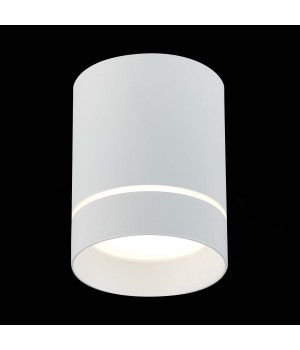 ST115.542.12 Светильник потолочный Белый LED 1*12W 4000K 840Lm Ra>90 120° IP20 D79xH100 170-240V ST115-foto3