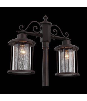 SL080.425.02 Светильник уличный наземный ST-Luce Темный кофе/Прозрачный, Темный кофе E27 2*100W LASTERO-foto7