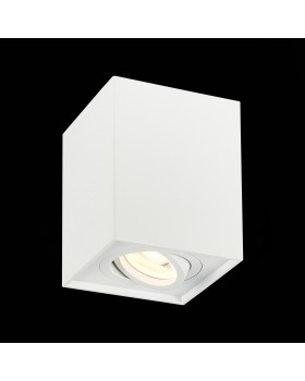 ST109.507.01 Светильник потолочный Мат. белый GU10 1*50W L100xW100xH123 220V Без ламп QUADRUS-foto3
