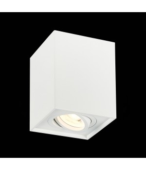 ST109.507.01 Светильник потолочный Мат. белый GU10 1*50W L100xW100xH123 220V Без ламп QUADRUS-foto3