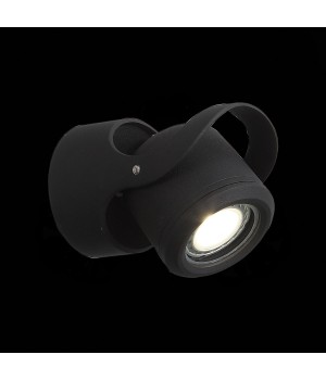 SL093.401.01 Светильник уличный настенный ST-Luce Черный/Черный, Прозрачный G5,3 1*3W ROUND-foto3