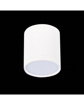 ST113.532.05 Светильник потолочный Белый LED 1*5W 3000K 390Lm Ra>80 120° IP20 D68xH75 170-240V RENE-foto4