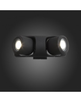 SL093.401.02 Светильник уличный настенный ST-Luce Черный/Черный, Прозрачный G5,3 2*3W ROUND-foto7