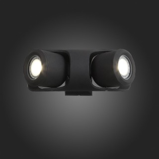 SL093.401.02 Светильник уличный настенный ST-Luce Черный/Черный, Прозрачный G5,3 2*3W ROUND-foto7