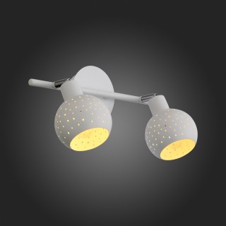 SL402.501.02 Спот ST-Luce Белый/Белый E14 2*40W STILANO-foto12