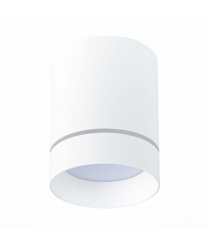 ST115.532.12 Светильник потолочный Белый LED 1*12W 3000K 840Lm Ra>90 120° IP20 D79xH100 170-240V ST115-foto2