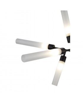 SL1620.402.12 Люстра потолочная ST-Luce Черный/Белый G9 12*5W SPLIO-foto11