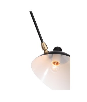 SL305.402.06 Люстра потолочная ST-Luce Черный/Черный, Белый E27 6*60W SPRUZZO-foto20