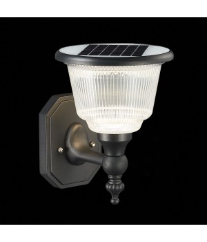 SL9502.401.01 Светильник уличный настенный ST-Luce Черный/Черный, Прозрачный LED 1*2W 3000-6000K SOLARIS-foto11