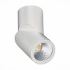 ST650.532.10 Светильник потолочный Белый LED 1*10W 3000K 800Lm Ra>90 38° IP44 D60xH175 165-265V ST650