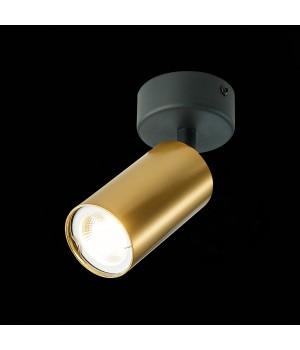 ST303.202.01 Потолочный светильник Золотистый GU10 1*50W IP20 D70xH168 220V Без ламп DARIO-foto3