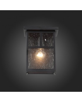 SL079.401.01 Светильник уличный настенный ST-Luce Темный кофе/Прозрачное кракелированное стекло E27 1*60W GLAZGO-foto6