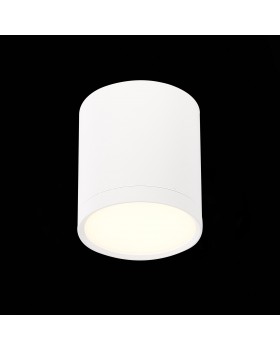 ST113.532.05 Светильник потолочный Белый LED 1*5W 3000K 390Lm Ra>80 120° IP20 D68xH75 170-240V RENE-foto3