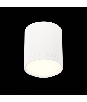 ST113.532.05 Светильник потолочный Белый LED 1*5W 3000K 390Lm Ra>80 120° IP20 D68xH75 170-240V RENE-foto3