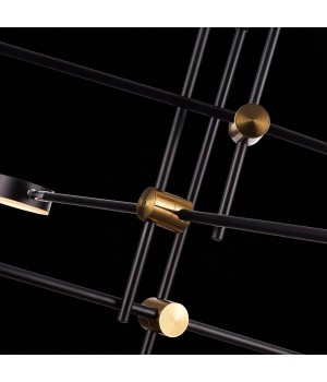 SL1604.432.06 Светильник потолочный ST-Luce Черный, Латунь/Черный LED 6*5W 3000K RODRIGO-foto7