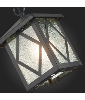 SL084.403.01 Светильник уличный подвесной ST-Luce Черный/Черный, Прозрачный E27 1*60W LORNE-foto9