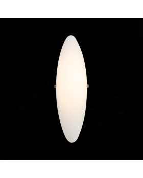 SL508.511.01 Светильник настенный ST-Luce Белый/Белый LED 1*8W 4000K SNELLO-foto3