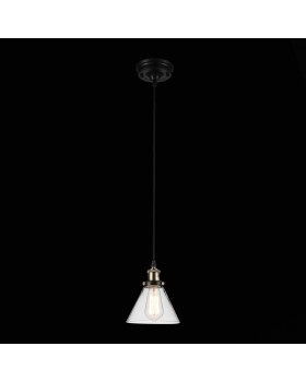 SL237.403.01 Светильник подвесной ST-Luce Черный, бронза/Прозрачный E27 1*40W EVOLUTO-foto2