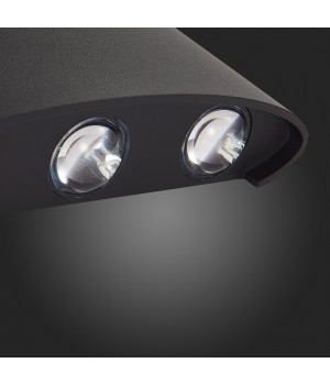SL089.401.06 Светильник уличный настенный ST-Luce Черный кварцевый LED 6*1W 4000K BISELLO-foto12