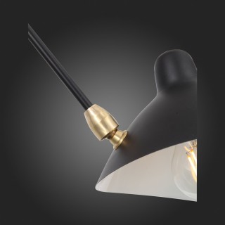 SL305.402.06 Люстра потолочная ST-Luce Черный/Черный, Белый E27 6*60W SPRUZZO-foto8