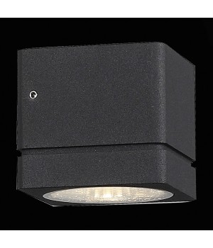 SL563.401.01 Светильник уличный настенный ST-Luce Черный/Прозрачный LED 1*8W 3000K COCTOBUS-foto4