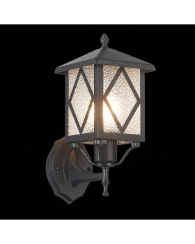 SL084.401.01 Светильник уличный настенный ST-Luce Черный/Черный, Прозрачный E27 1*60W LORNE-foto4