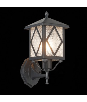 SL084.401.01 Светильник уличный настенный ST-Luce Черный/Черный, Прозрачный E27 1*60W LORNE-foto4
