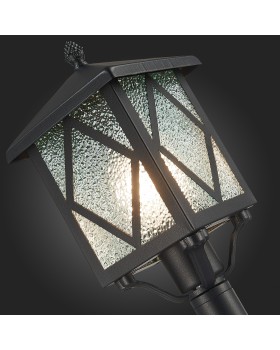 SL084.415.01 Светильник уличный наземный ST-Luce Черный/Черный, Прозрачный E27 1*60W LORNE-foto9
