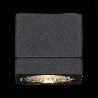 SL563.401.01 Светильник уличный настенный ST-Luce Черный/Прозрачный LED 1*8W 3000K COCTOBUS-foto5