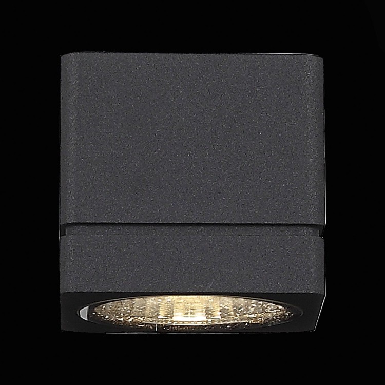 SL563.401.01 Светильник уличный настенный ST-Luce Черный/Прозрачный LED 1*8W 3000K COCTOBUS