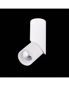 ST107.542.10 Светильник потолочный Белый LED 1*10W 4000K 780Lm Ra>80 D50xH168 170-240V TORTELLE-foto5