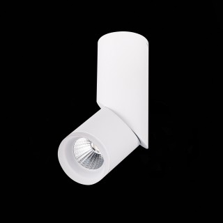 ST107.542.10 Светильник потолочный Белый LED 1*10W 4000K 780Lm Ra>80 D50xH168 170-240V TORTELLE-foto5