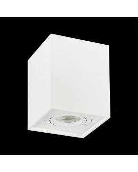 ST109.507.01 Светильник потолочный Мат. белый GU10 1*50W L100xW100xH123 220V Без ламп QUADRUS-foto4