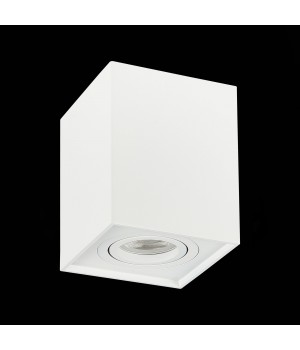 ST109.507.01 Светильник потолочный Мат. белый GU10 1*50W L100xW100xH123 220V Без ламп QUADRUS-foto4