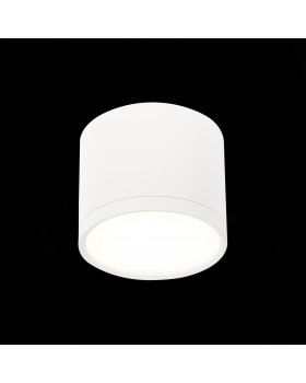 ST113.542.09 Светильник потолочный Белый LED 1*9W 4000K 702Lm Ra>80 120° IP20 D88xH75 170-240V RENE-foto3