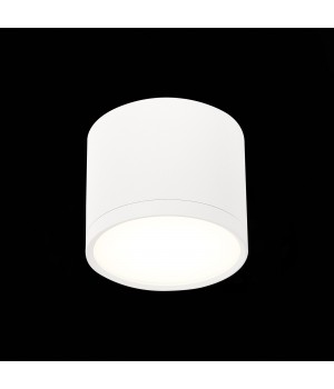 ST113.542.09 Светильник потолочный Белый LED 1*9W 4000K 702Lm Ra>80 120° IP20 D88xH75 170-240V RENE-foto3