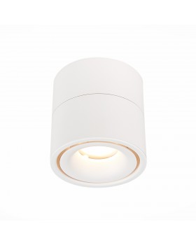 ST652.542.12 Светильник потолочный Белый LED 1*12W 4000K 1 000Lm Ra>90 36° IP20 D100xH105 170-240VV ST652-foto2