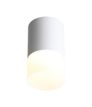 ST100.542.05 Светильник потолочный Белый LED 1*5W 4000K 390Lm Ra>80 120° D64xH110 170-240V OTTU-foto2