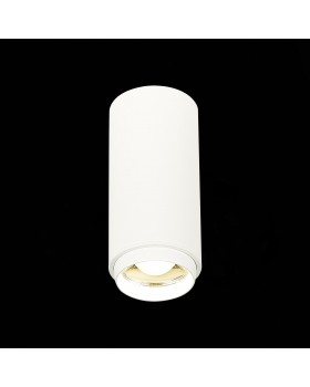 ST600.542.10 Светильник потолочный Zoom Белый LED 1*10W 4000K 1 000Lm Ra>80 15-60° IP20 D59xH130 170-240VV ZOOM-foto3