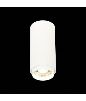 ST600.542.10 Светильник потолочный Zoom Белый LED 1*10W 4000K 1 000Lm Ra>80 15-60° IP20 D59xH130 170-240VV ZOOM-foto3